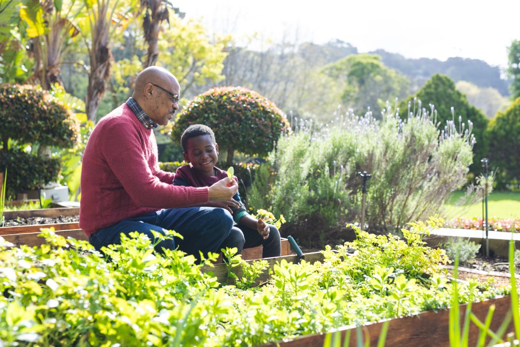 Grandfather teaching child gardening as a symbol of Generational Wealth.