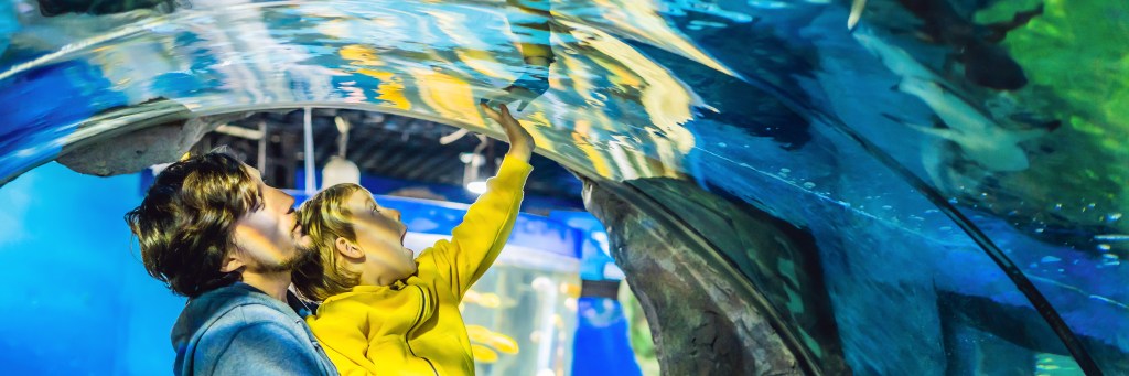 Father and son look at the fish in the aquarium in oceanarium BANNER, LONG FORMAT