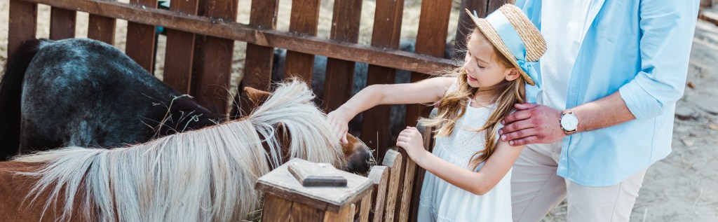panoramic shot of cheerful kid touching pony while standing near father in zoo
