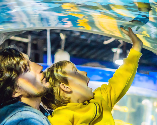 Generational Gifting: Inherited Wealth and Intentional Planning