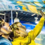 Archive Article 3 thumbnail section 2