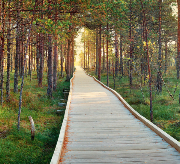 Building a Clear Generational Roadmap: Seeing the Bigger Picture Early