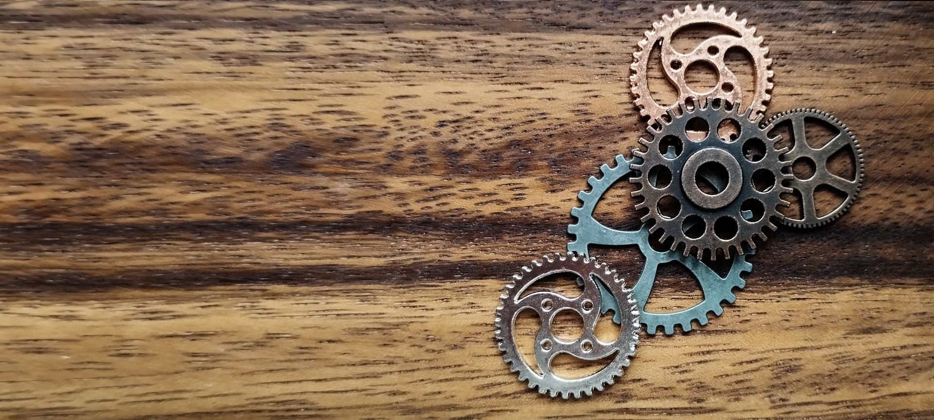 Making It Official & Settingthe Plan in Motion